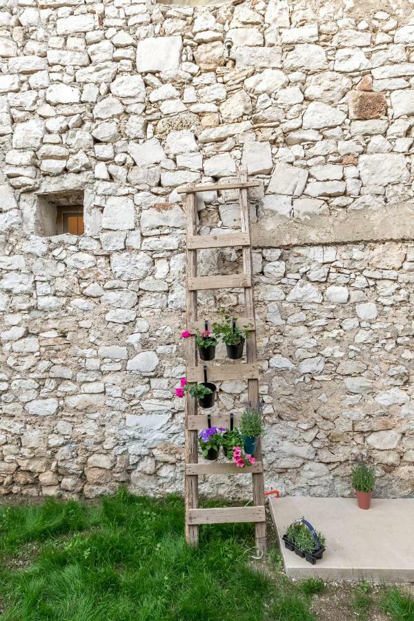 House "Vesela" Villa Biograd Na Moru Exteriör bild